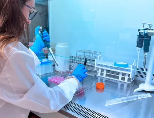 Eurecat coordinates a European study to reduce children’s exposure to endocrine disruptors that alter the hormonal system